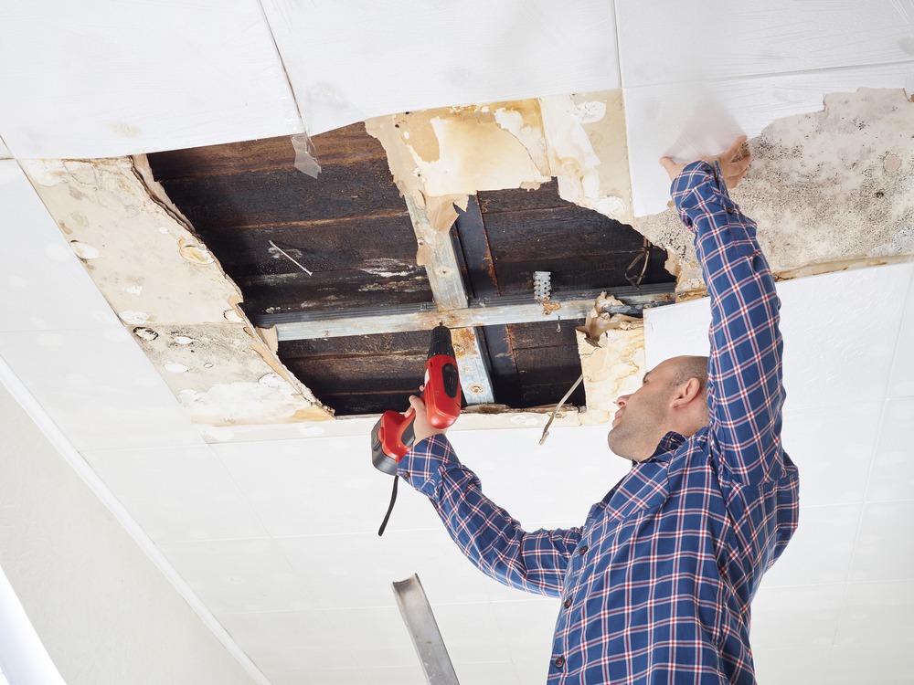 Best Practices for Water Damage Repair in Oregon City Properties