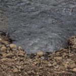 Water Leaks Severna Park Prevention Strategies That Really Work