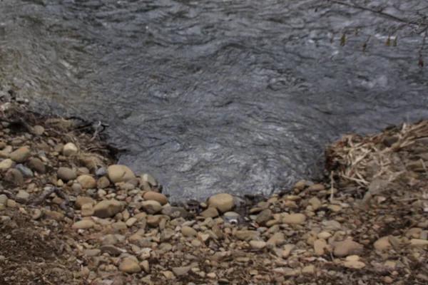 Water Leaks Severna Park Prevention Strategies That Really Work