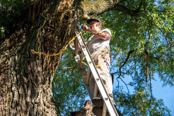 Emergency Tree Service Available When You Need It Most